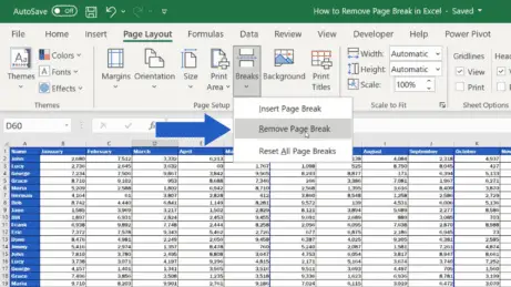 How to Remove a Page Break in Excel